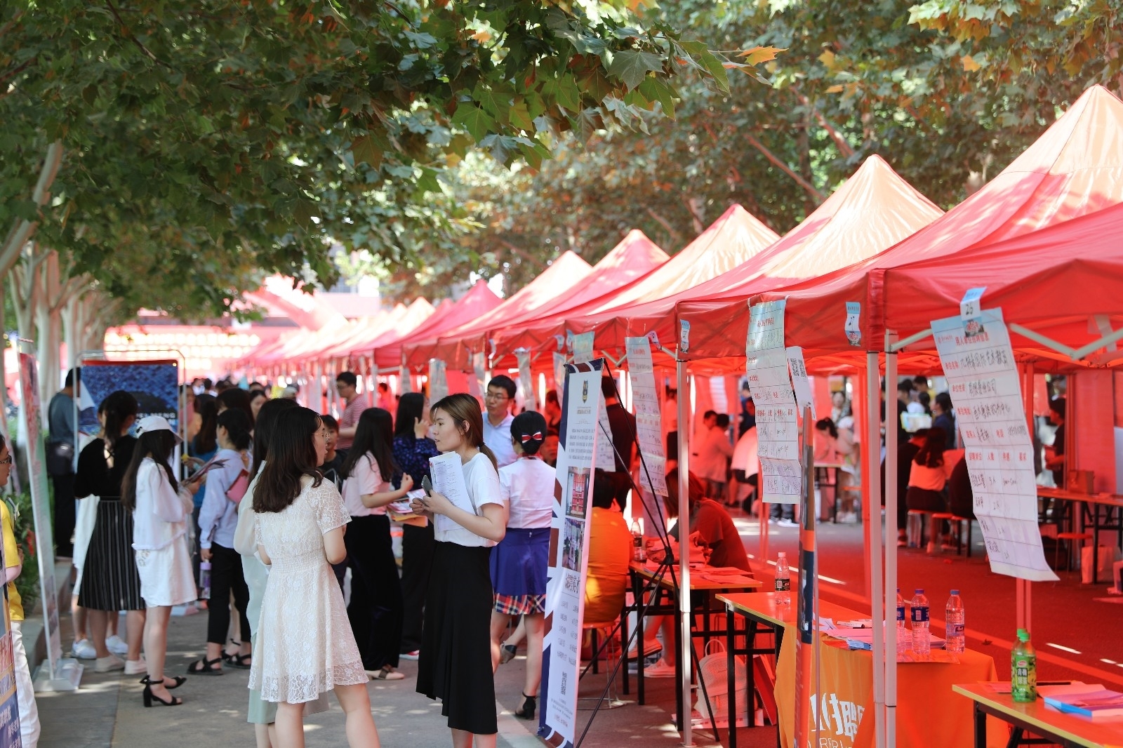 6N3A8772.JPG 6N3A8772.JPG