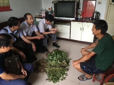 点击查看原图