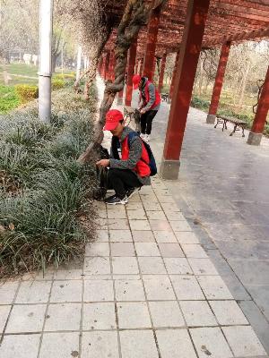 点击查看原图