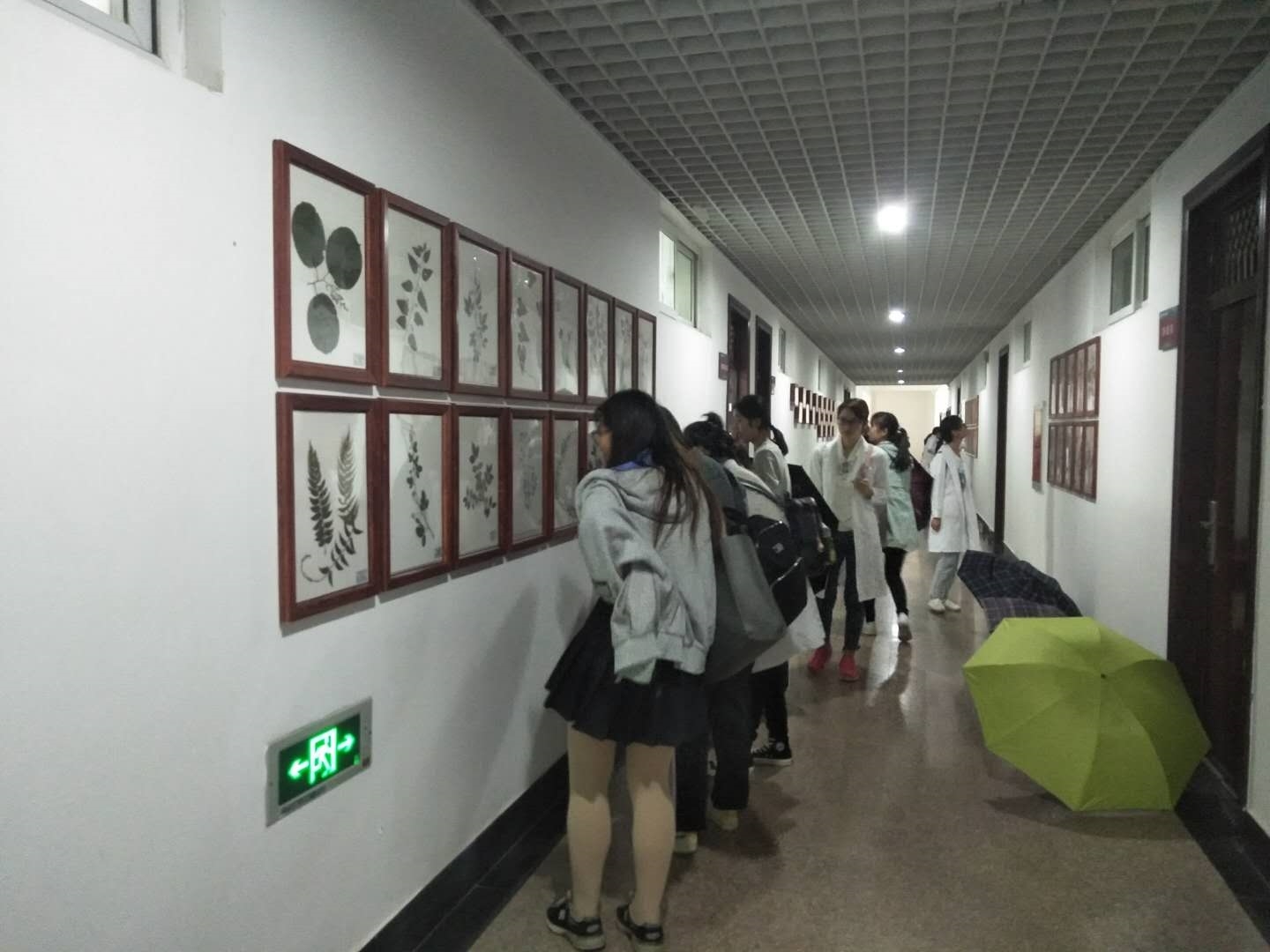 492826432509037668.jpg 492826432509037668.jpg