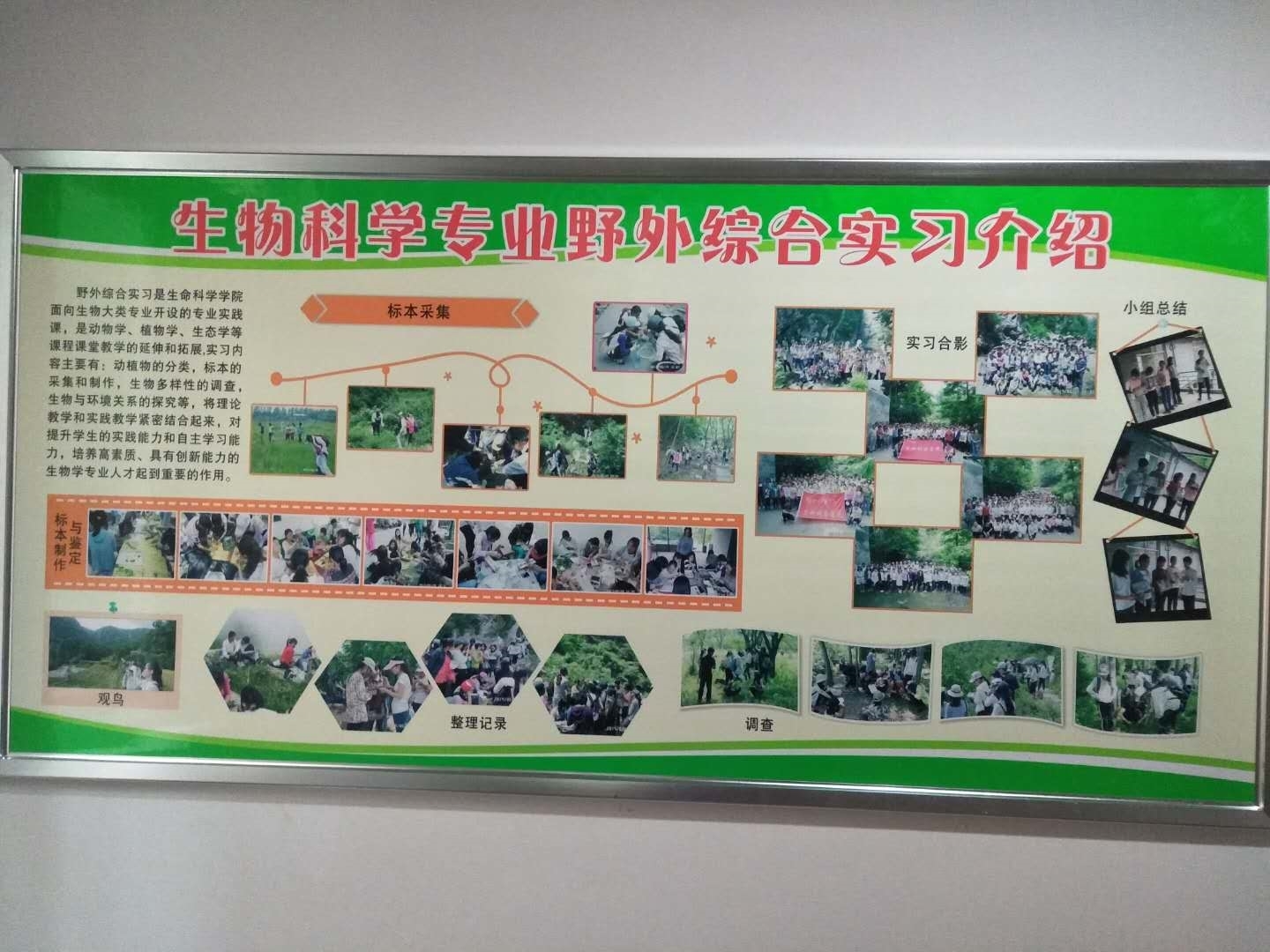 402196416547735283.jpg 402196416547735283.jpg